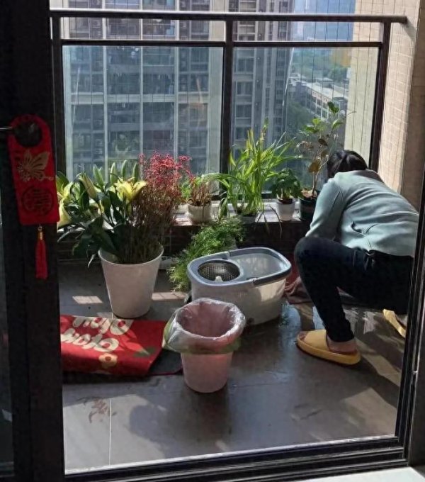 开yun体育网什么龟背竹、琴叶榕、发家树-云yun开·体育全站app(kaiyun)(中国)官方网站 登录入口