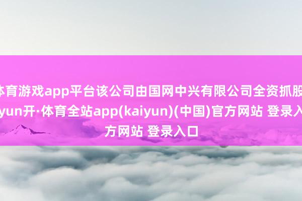 体育游戏app平台该公司由国网中兴有限公司全资抓股-云yun开·体育全站app(kaiyun)(中国)官方网站 登录入口