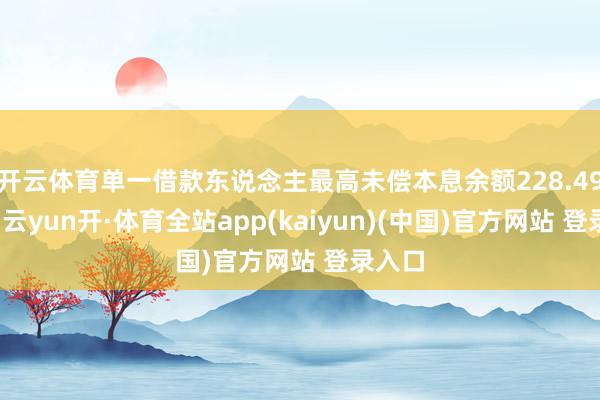 开云体育单一借款东说念主最高未偿本息余额228.49万元-云yun开·体育全站app(kaiyun)(中国)官方网站 登录入口