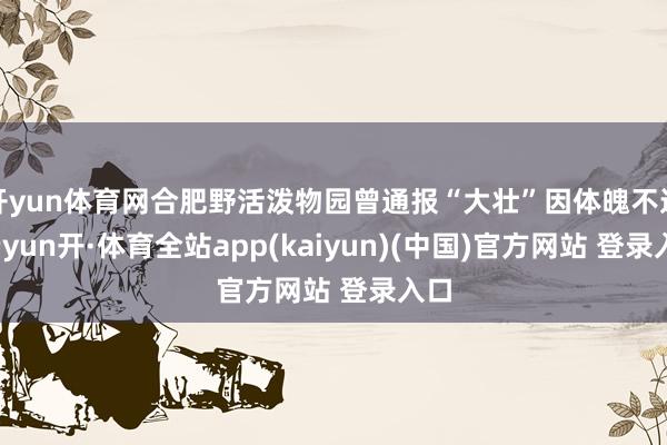 开yun体育网合肥野活泼物园曾通报“大壮”因体魄不适-云yun开·体育全站app(kaiyun)(中国)官方网站 登录入口